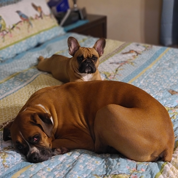 Meet your Posher, Annette - Picture 4 of 15